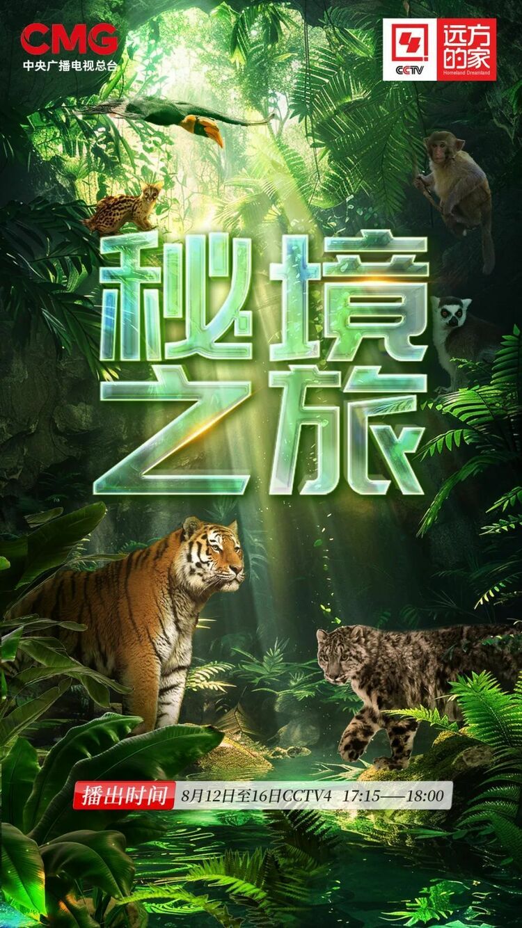 《秘境之旅》：探寻无人区的生命奇迹