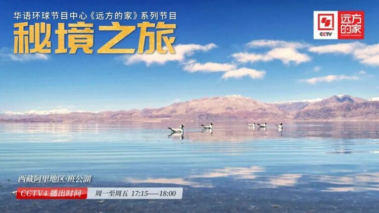 《秘境之旅》：探寻无人区的生命奇迹