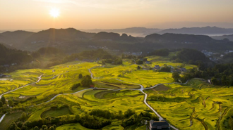 重庆巴南：云端梯田“丰”景如画