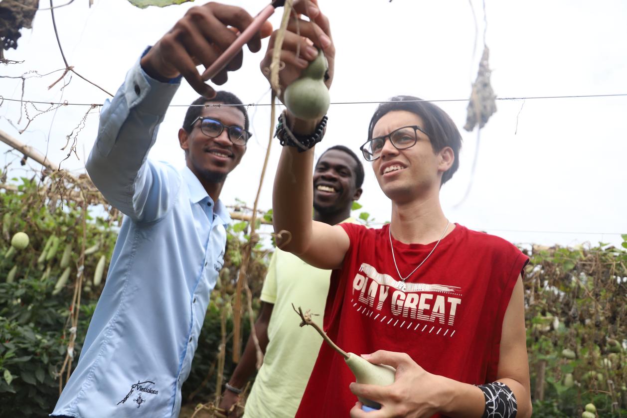 河北青县：留学生邂逅中国非遗 感受中式传统文化之美_fororder_image003