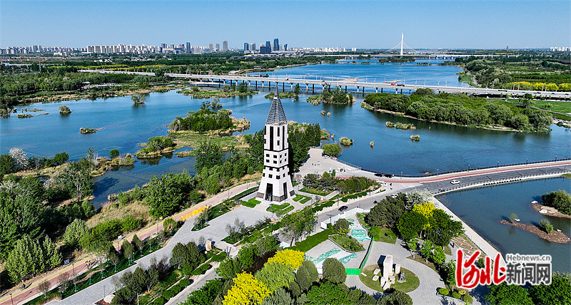 盛夏的石家庄滹沱河畔,阳光洒落.