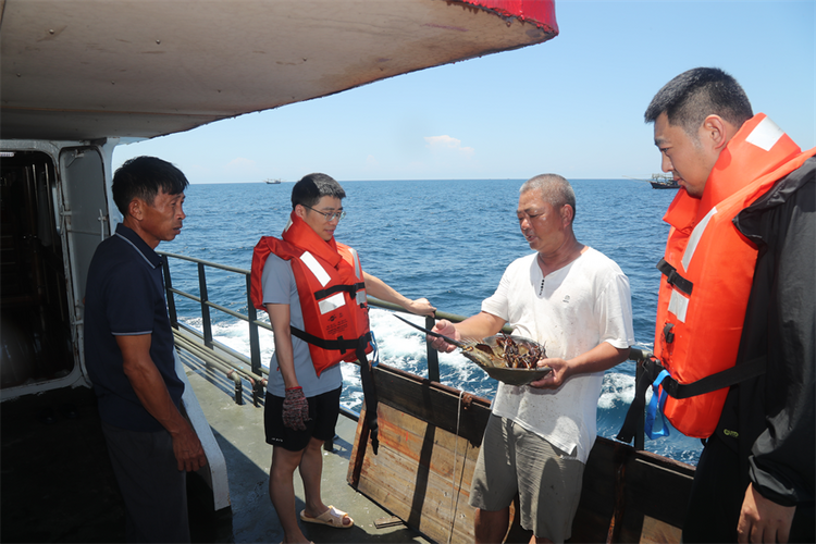 國家二級保護動物中華鱟放歸北部灣_fororder_圖片3