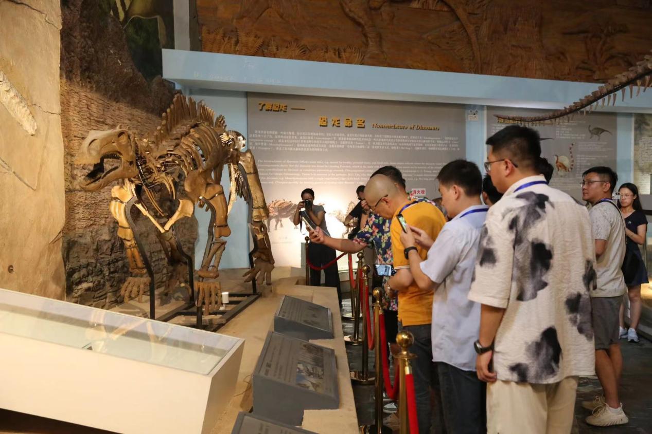 何以中國·尋根遼寧丨朝陽鳥化石國家地質公園：在“古生物的搖籃”探索史前世界