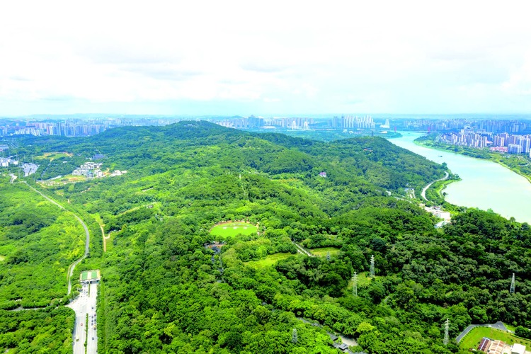 广西旅游实施“串珠成链”工程行动方案出台“亮珠串珠强链”建设文化旅游强区