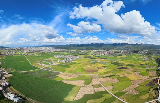 贵州惠水：稻浪翻涌 绘就好“丰”景_fororder_惠水县涟江街道大坡村的高标准粮田基地