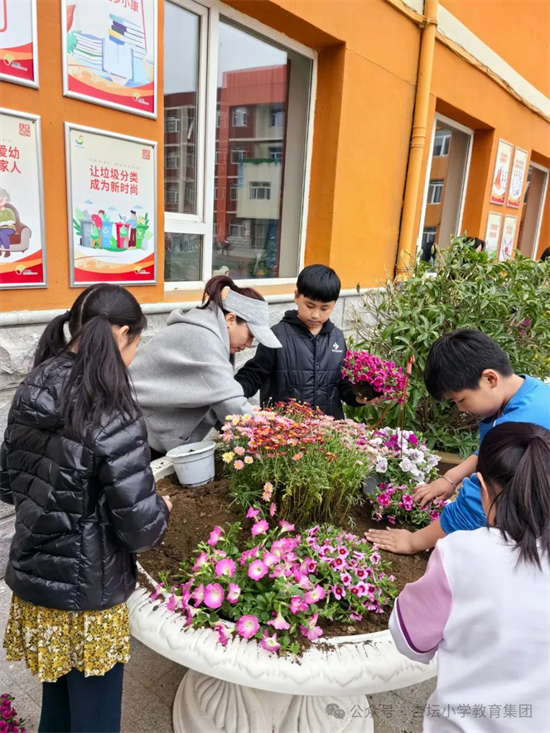 瀋陽市杏壇小學高年部開展“我們的自留地”項目式學習活動_fororder_教育種植