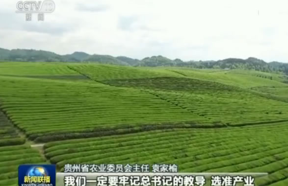 牢記總書記教導:貴州“一減一增”推進農業供給側改革