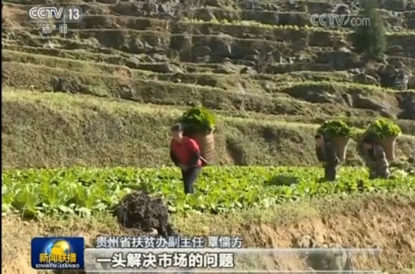 牢記總書記教導:貴州“一減一增”推進農業供給側改革