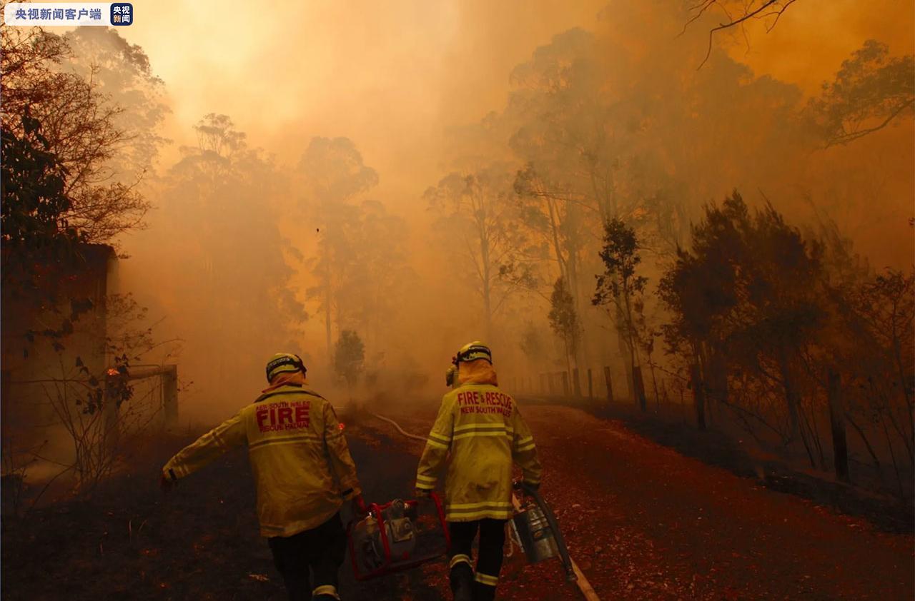 澳大利亚森林大火不止 3死40伤再创新高