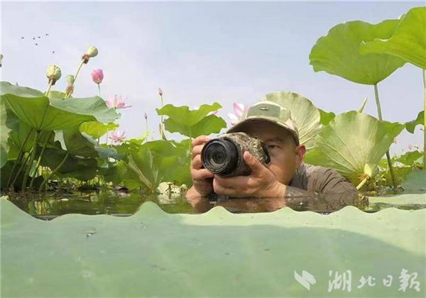 國網武漢供電公司：保護生態環境 員工在行動_fororder_微信圖片_20240816103747