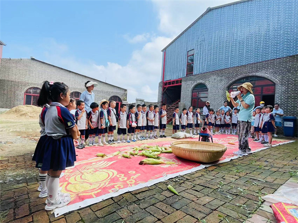 瀋陽市蘇家屯區實驗幼兒園開展掰玉米勞動實踐研學活動_fororder_玉米1