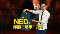 NED，你的“马甲”掉了