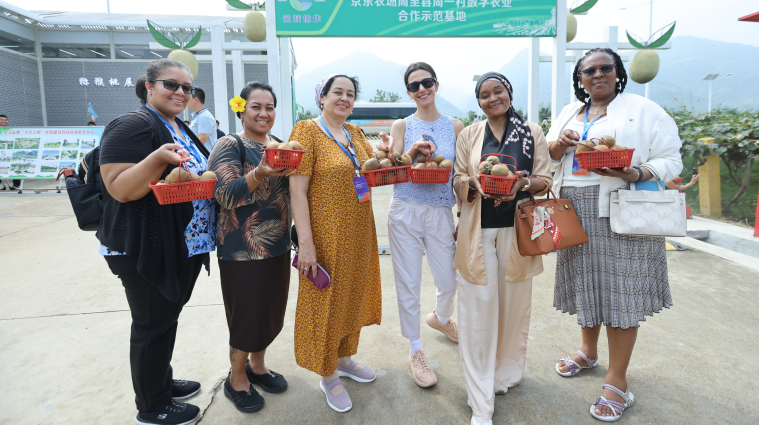 2024 Ambassadors' Wives' Trip to Xi'an, Zhouzhi County_fororder_图片7