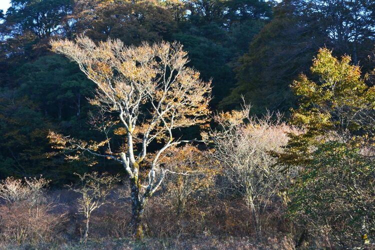 贵州山色丨初秋攀登，贵州新晋网红登山地等你来打卡！