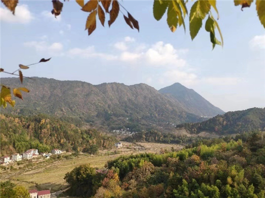 【急稿】【湖北】【客戶稿件】赤心永駐大山情——記堅守黃岡蘄北山區28年的白衣天使倪孟銀