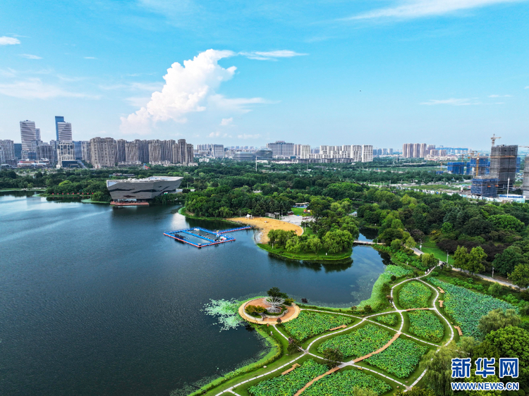 江蘇泰州：暢遊綠意公園 盡享自然之美_fororder_20240818f25e3efeca3d4c9696d84bdddb6f47a6_20240816c48a98560f24425bae26392e5118c78f