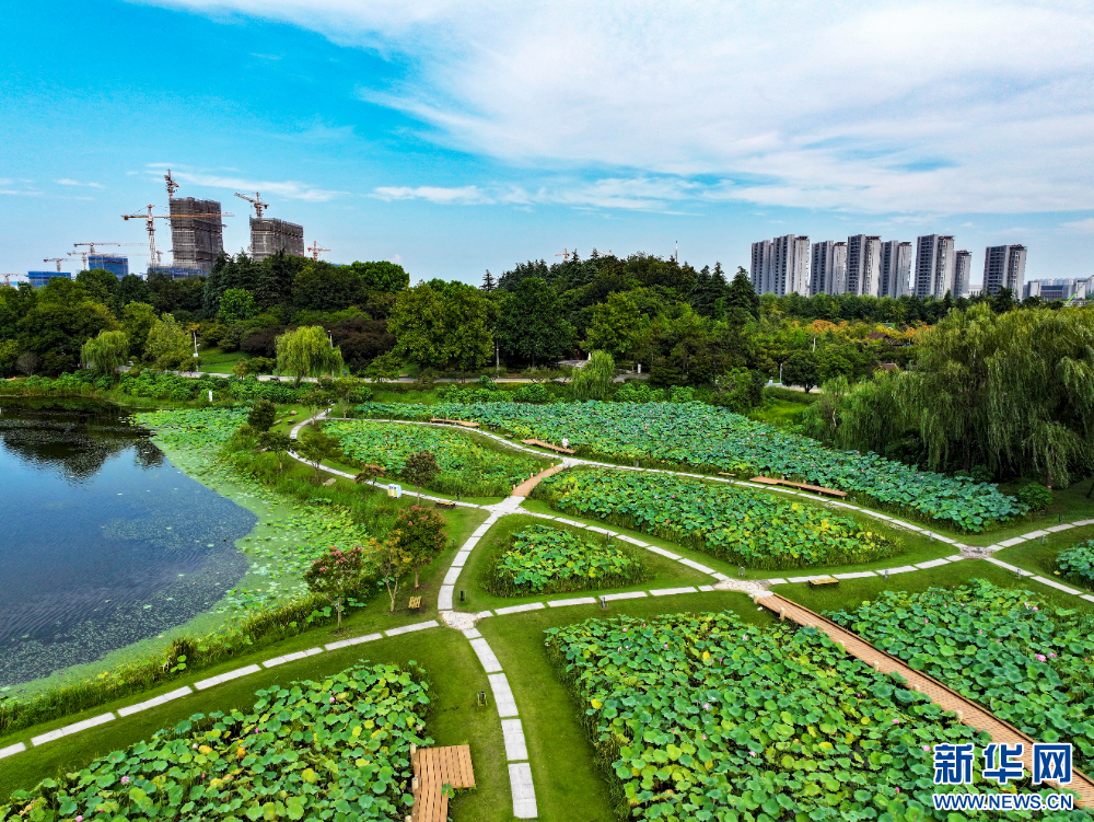 江蘇泰州：暢遊綠意公園 盡享自然之美_fororder_20240818f25e3efeca3d4c9696d84bdddb6f47a6_2024081613fca03c24894578972e5d2bbd808db2