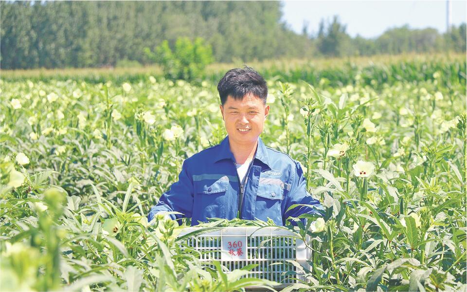 特色種植點亮鄉村經濟