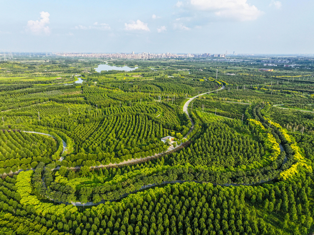 雄安新区：蓝绿交织、水城共融