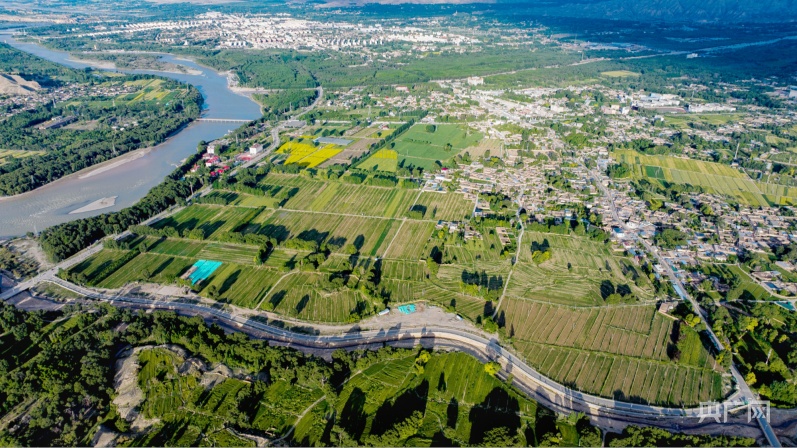 【镜头里的青海】“高原小江南”阳光明媚 盛夏灿烂