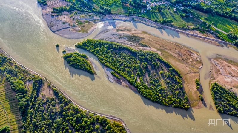 【镜头里的青海】“高原小江南”阳光明媚 盛夏灿烂