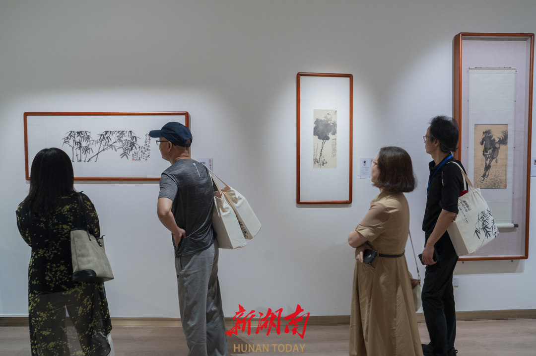 湘人苏高宇，向家乡做一次“成长汇报”——湘籍画家苏高宇作品展开幕仪式暨研讨会侧记_fororder_5