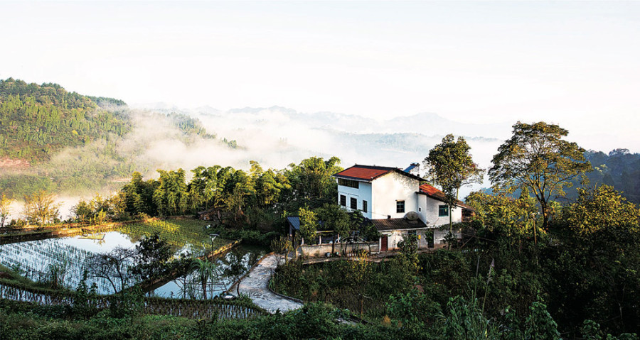 图片默认标题_fororder_001c422884731f3197ea31