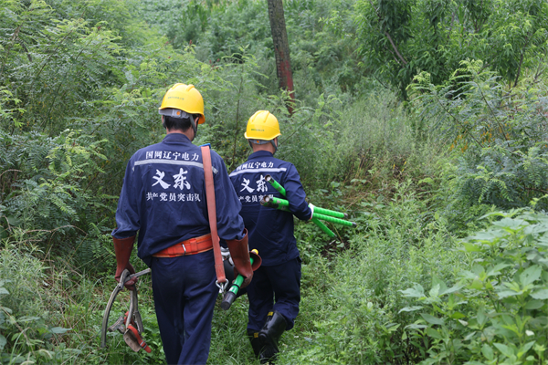 國網遼寧電力：讓黨旗在防洪保電現場高高飄揚_fororder_營口3-7月30日，丹東供電公司“義東”黨員突擊隊隊員前往搶修九連城鎮馬市島內5個村落供電設施。于晨晨 攝