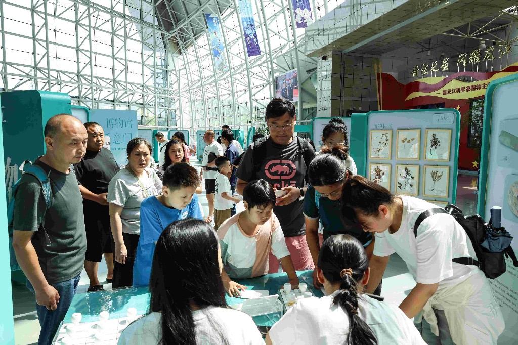 黑龙江：打开“文物旅行箱” 体验文化科普盛宴