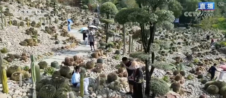 高质量发展调研行 | 石头荒山“蝶变”重焕新生 “两山”故事生动体现