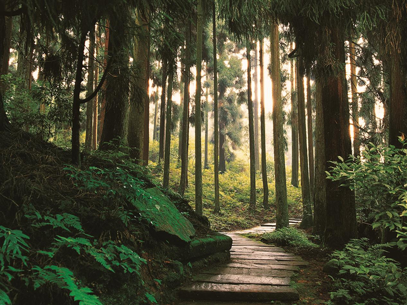 登山远眺 密林赏萤 来天台山解锁更多出游新体验_fororder_图片-3