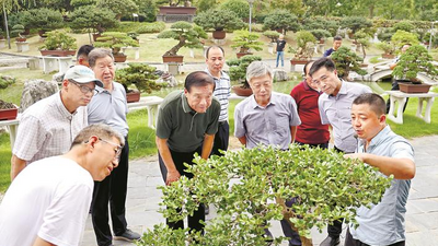 First Cultural Couplet Practice Base in Yangtze River Delta Established in Taizhou