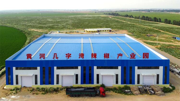 （组图）鄂尔多斯展旦召：党建引领产业旺 乡村振兴展新姿_fororder_1