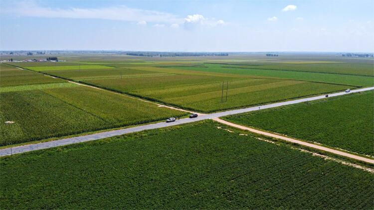 （组图）鄂尔多斯展旦召：党建引领产业旺 乡村振兴展新姿_fororder_3