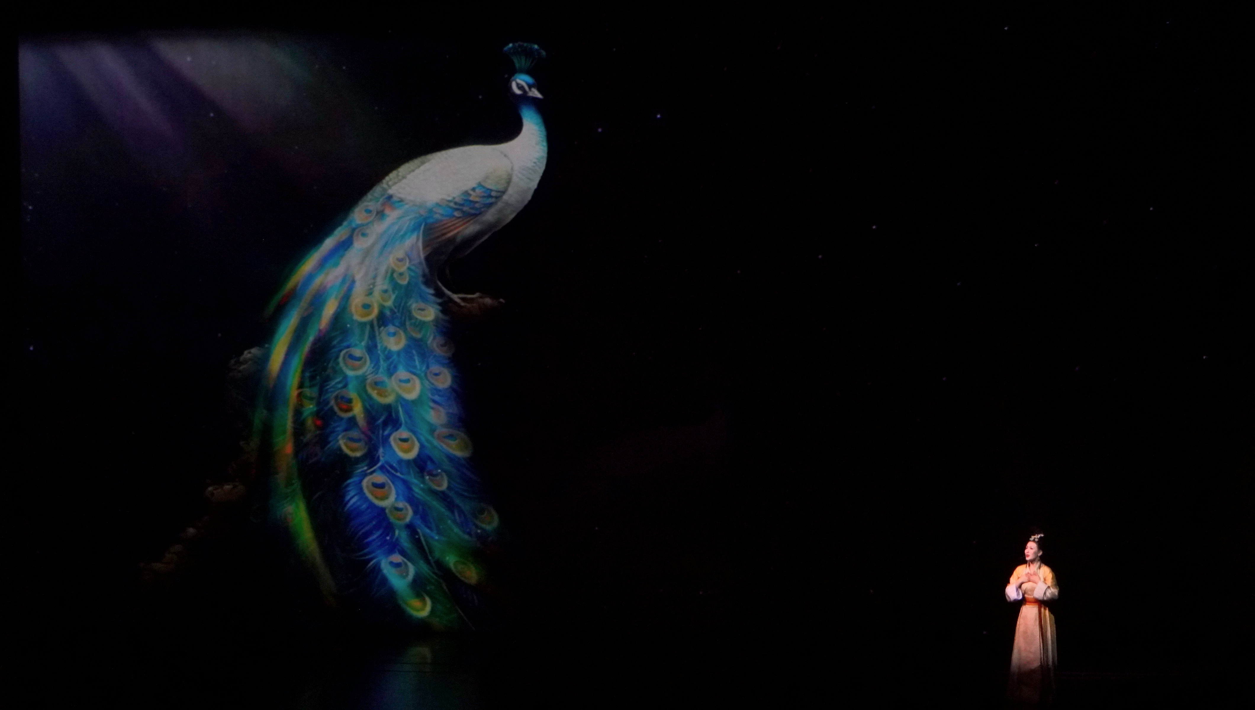 大型情景音画剧《千手千眼》在敦煌大剧院上演_fororder_WechatIMG266