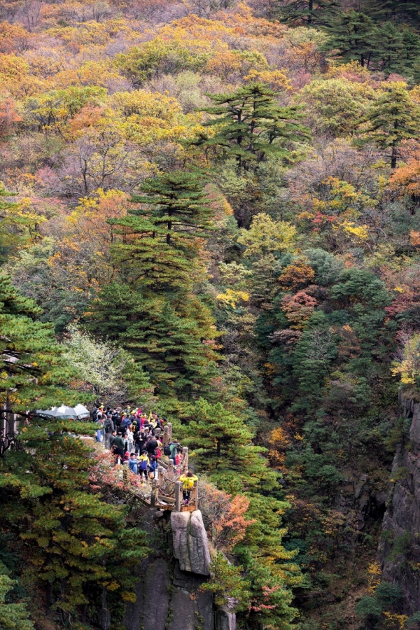 在黃山遇見最美秋天 黃山市發佈176項文旅活動_fororder_黃山1