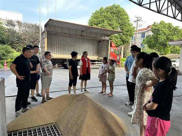 遇“稻”一粒米 南通如皋市白蒲鎮松楊社區開展“七彩的夏日”主題活動_fororder_27