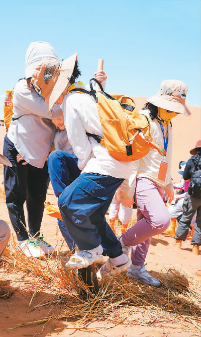 宁夏中卫： 沙坡头“沙里淘金”