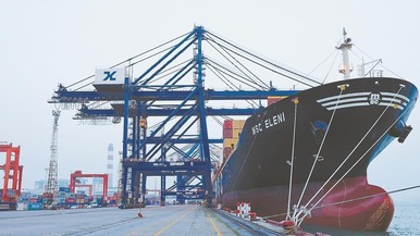  Xiamen Port Welcomes the First Sail of the Mediterranean Shipping Australia Singapore Line