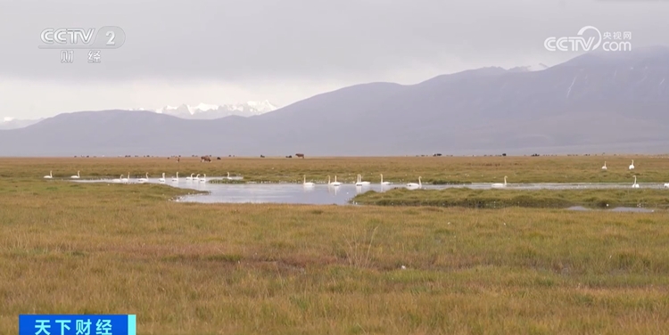 美如打翻的调色盘！秋日里的中国每一帧都是风景