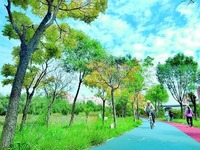 西寧湟水國家濕地公園已是秋景如畫