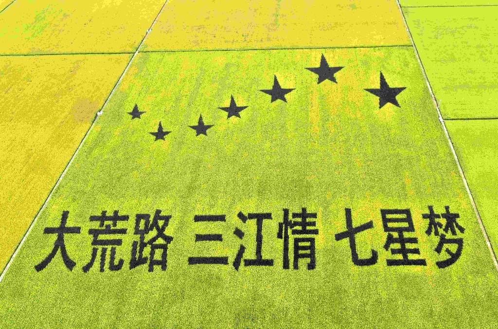 醉龙江│美丽稻田画 带火乡村游