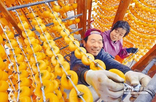 臺當局擬解禁日本除福島外4縣市核災(zāi)食品 藍營痛批