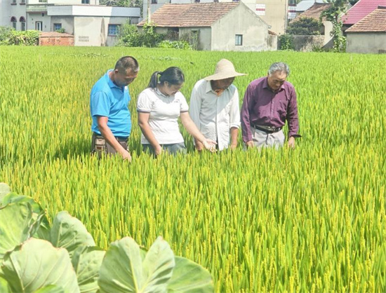 南通通州朱燕平：愛崗敬業踐初心 用“鐵腳板”跑出村民“好口碑”_fororder_圖片5