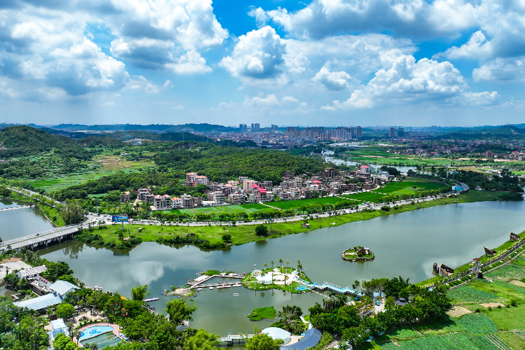 泉州惠安：学用“千万工程”经验 聚力做好“土特产”文章_fororder_图片7