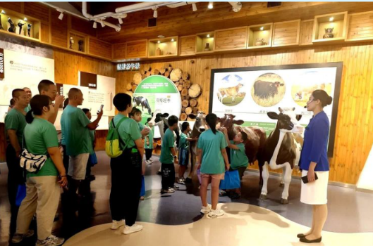 石家莊市裕華區:暢想研學之樂 開啟科普之旅_fororder_暢想研學之樂,開啟科普之旅——裕華區困境兒童研學活動投稿1281