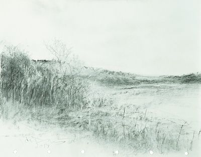 生动传神;徐芒耀的铅笔画《塞纳河畔的古堡废墟》在不大的画纸上