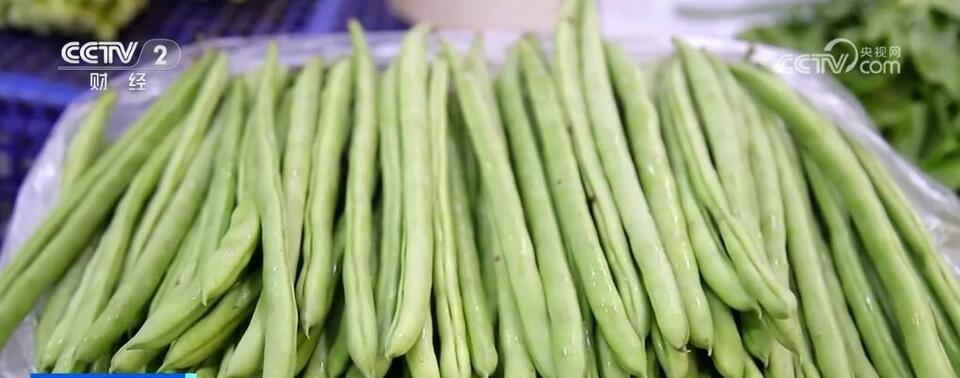 多措并举保障“菜篮子”供应充足 蔬菜价格出现回落