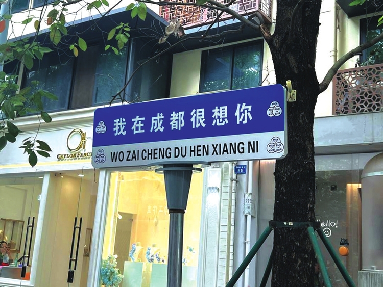 （转载）一起到成都街头走“花路”