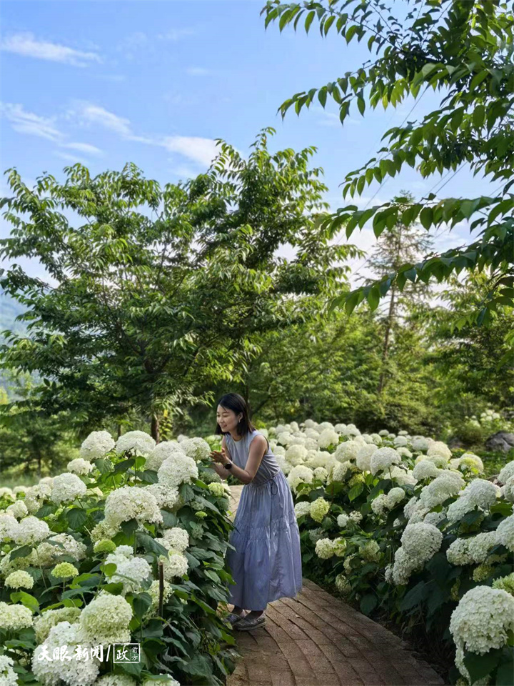 台灣女孩在貴州的“花漾”人生